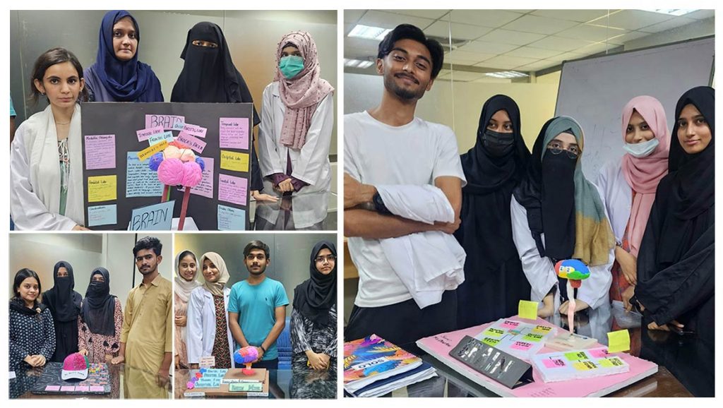 CELEBRATING CREATIVITY AND KNOWLEDGE: BATCH III OF BS-ASLT PRESENT THEIR BRAIN ANATOMY PROJECTS AT SIPM&R